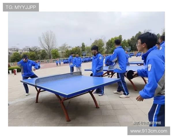 乒乓球的变革之路：探寻北京乒乓球队的转型与发展策略